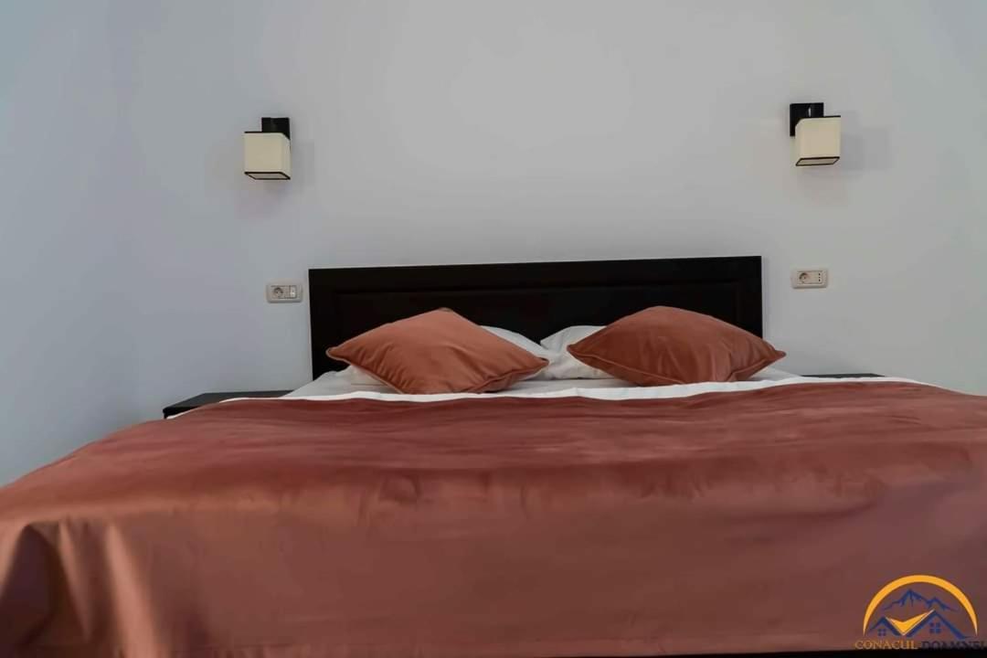Conacul Doamnei Villa Corbi Ngoại thất bức ảnh