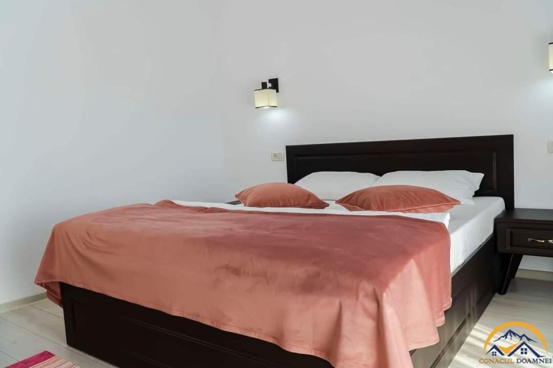 Conacul Doamnei Villa Corbi Ngoại thất bức ảnh